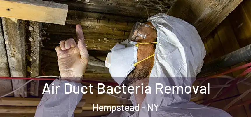  Air Duct Bacteria Removal Hempstead - NY
