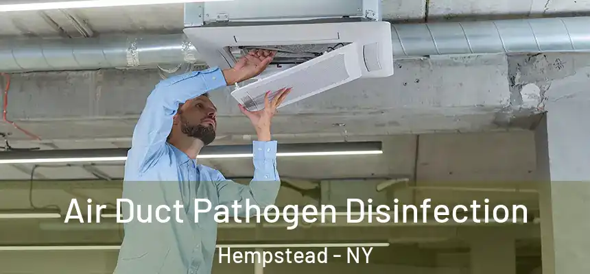 Air Duct Pathogen Disinfection Hempstead - NY