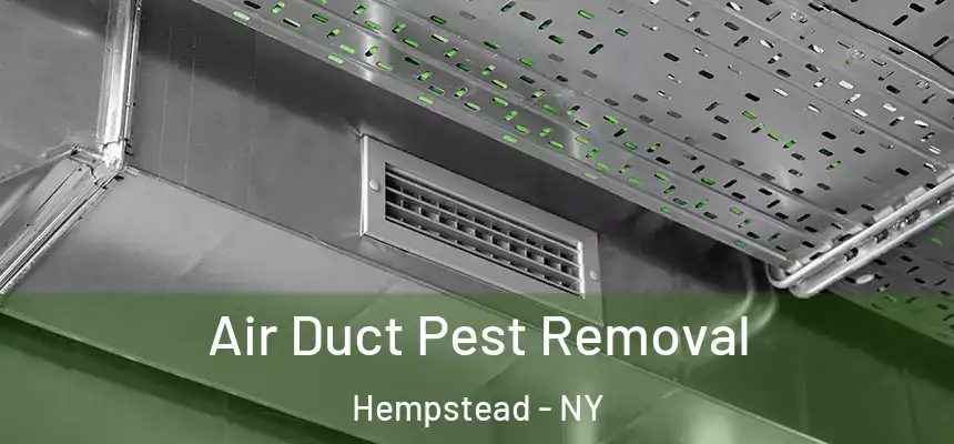 Air Duct Pest Removal Hempstead - NY
