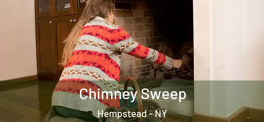  Chimney Sweep Hempstead - NY