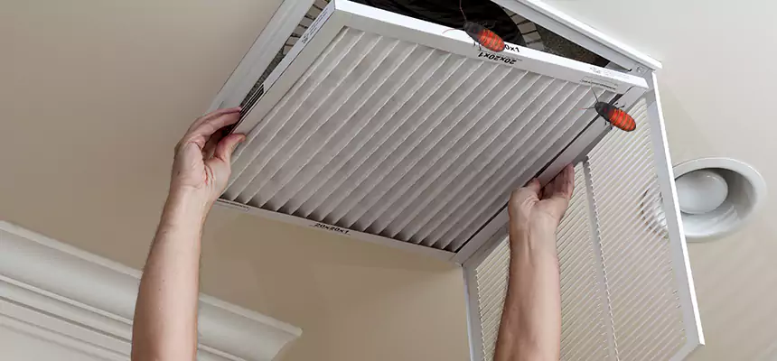 Preventive Cockroach-Proofing for Ducts in Hempstead