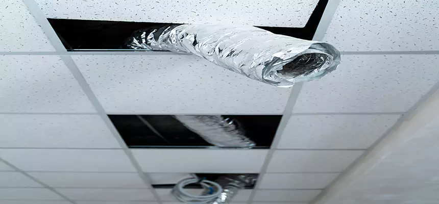 Affordable HVAC Sanitizing After Pest Removal in Hempstead