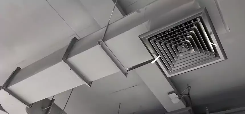 Restorative Allergy Relief Vent Cleaning – Coil, Blower & Housing Detail in Hempstead