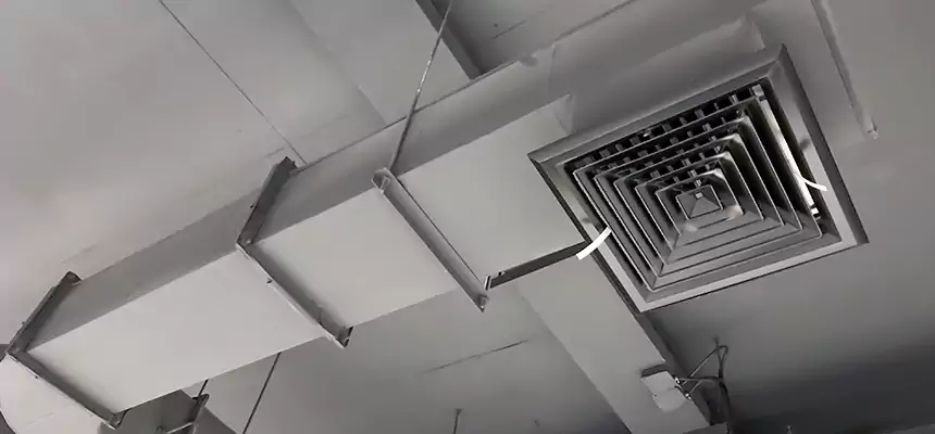 Our Pest Removal From Ducts Services in Hempstead, NY