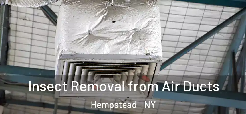 Insect Removal from Air Ducts Hempstead - NY