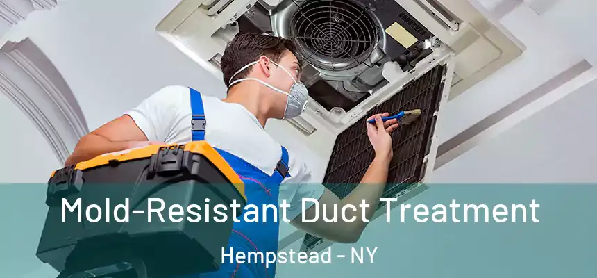  Mold-Resistant Duct Treatment Hempstead - NY