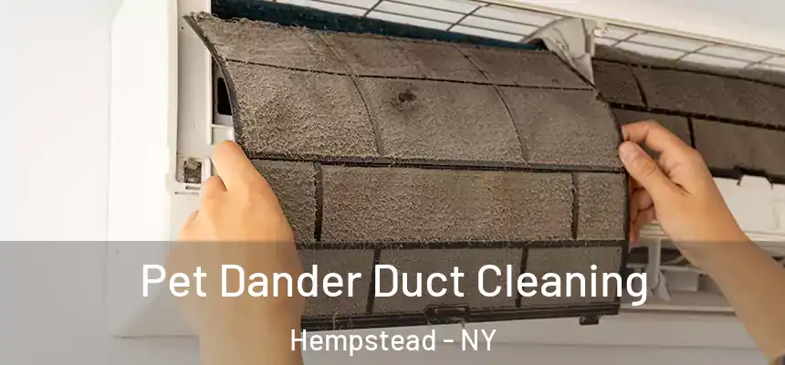  Pet Dander Duct Cleaning Hempstead - NY