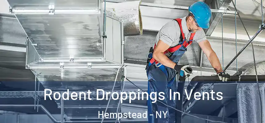  Rodent Droppings In Vents Hempstead - NY