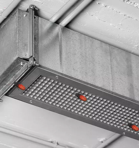 Affordable Insect Removal from Air Ducts in Hempstead, NY