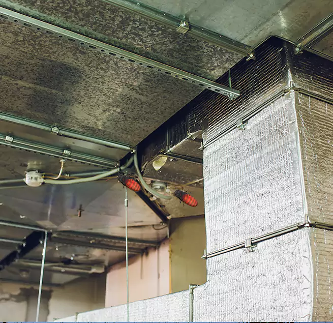 Why Homeowners & Businesses Trust Us in Hempstead, NY?