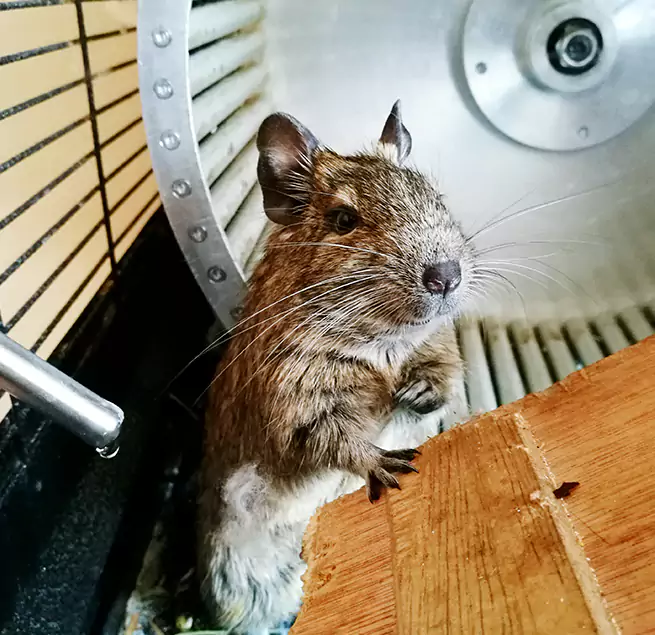 Why Homeowners & Businesses Trust Us Hempstead, NY?