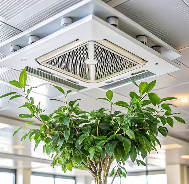 Why Homeowners & Businesses Trust Us in Hempstead, NY?