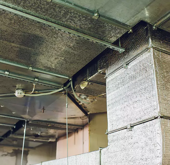 Why Homeowners & Businesses Trust Us in Hempstead, NY?